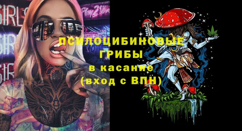 где продают наркотики  Апшеронск  Псилоцибиновые грибы Cubensis 